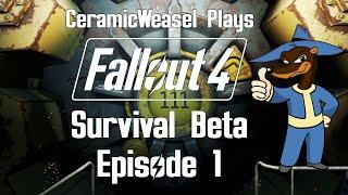 Let's Play Fallout 4 (Survival Beta) #1: New Character