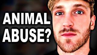 The Logan Paul Animal Abuse Allegations