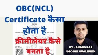 Bihar OBC(NCL) Certificate kya hota hai ।। BPSC Teacher online me cremylayer lagega kya