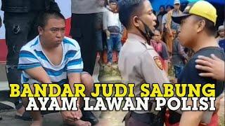 NASIB Bandar Judi Sabung Ayam Lawan Polisi, Ditangkap Seperti Ayam Sayur Tak Berani Lagi Melawan