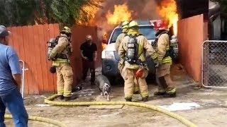 Man runs into burning home to save his dog I ABC7