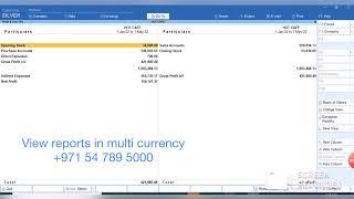 Make your financial reports in Multi Currency