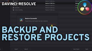 How to backup and restore all projects (without media) in davinci resolve?