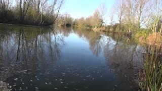 FENNES FISHERIES, FENNES ROAD, BOCKING, BRAINTREE, ESSEX