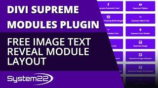Divi Supreme Modules Free Image Text Reveal Module Layout 