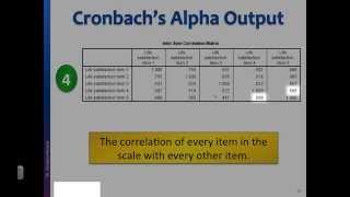 Reliability test: Interpret Cronbach's alpha output in SPSS