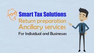 Smart Tax Solutions   2015