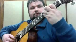 Matteo Carcassi Op. 60 No. 5 Classical Guitar - Florentin Tise