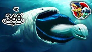 360 Bloop Eat Bloop, El Gran Maja and Ninge Sea Monsters | 360 video 4K