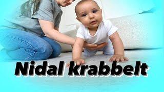 NIDAL ÜBT KRABBELN | LOUISA NADER