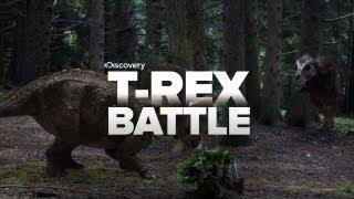 Biggest T-Rex BATTLES!