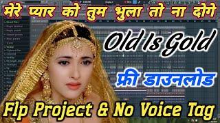 Mere Pyar Ko Tum Bhula To Na Boge | Flp Project | Old Is Gold | Dj Remix | Flp Project, No Voice Tag