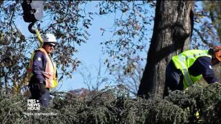 From Alaska to DC, the journey of the Capitol Christmas tree