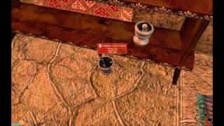 Morrowind - Stealing Without Consequences