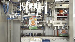 Automatic Bagging Machine for Cat Litter