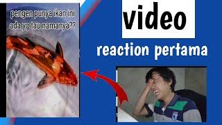 REACTION PERTAMA VIDEO LUCU BIKIN NGAKAK YOUTUBER PEMULA 2022