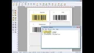 Labeljoy loads external data source and print label, barcode, qrcode