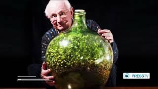 British man grows garden in sealed bottle not watered in over 40 years 1