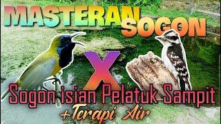 Materi untuk sogom tembakan pelatuk sampit