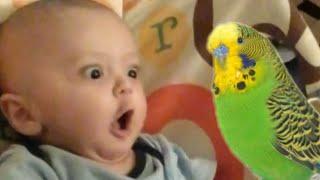 30 Funniest Cute Baby Compilation  Fun and Fails Baby Video