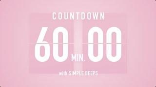 60 Min [ 1 Hour ] Countdown Flip Clock Timer / Simple Beeps 