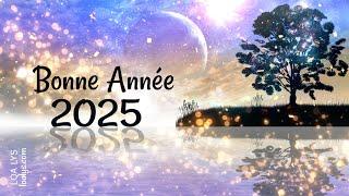 Décompte 2025 - Bonne Année #voeux2025