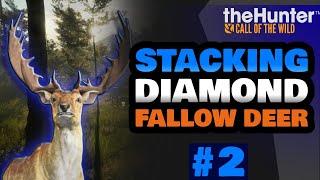 STACKING DIAMOND FALLOW DEER | theHunter Call of The Wild