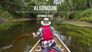 Algonquin Park: Oxtongue River Canoe Route