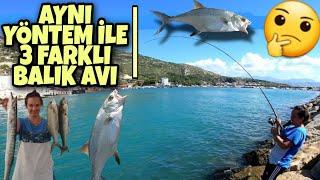 ÇEVLİKTE BİR GÜN - Avcı Balık Yakalama - hunter fish catch  #part1 #part1 #tuğbanıngünü