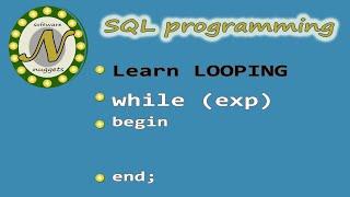 SQL Server: WHILE loop