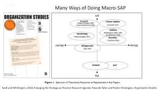 SAP Webinar (Richard Whittington): Micro and macro in SAP research