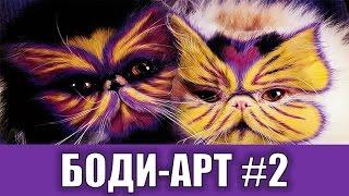 Боди арт животных | Бодиарт животные #2 | Раскрашенные животные