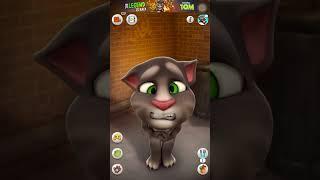 Talking Tom Cat| Talking Ginger Cat #angry  #talkingtom #gameplay #shorts #cat