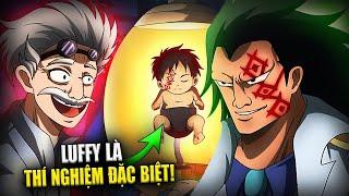 Luffy Được Cấy Gen Từ Joyboy Và Kế Hoạch THẾ KỶ Giữa Dragon & Vegapunk  | Giả Thuyết One Piece