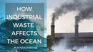 How Industrial Waste Affects the Ocean