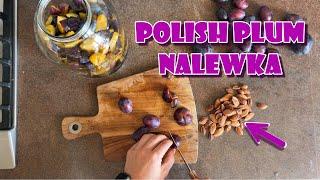 Polish Plum Nalewka - Śliwkówka