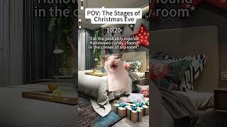 CAT MEMESThe Stages of Christmas Eve#catmemes #christmas #cat #funny #funnycats #foryou #cute