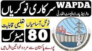 water and power development Authority wapda new jobs January 2025