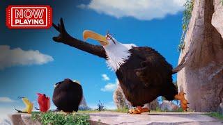 The Angry Birds Movie | Finding Mighty Eagle