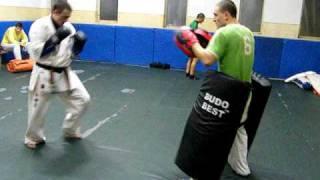 kyokushin training---punches & kick