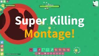Super Killing Montage! Florr.io