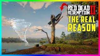 The REAL Reason Why There Is A Mysterious Boat Stuck Up In A Tree In Red Dead Redemption 2! (RDR2)