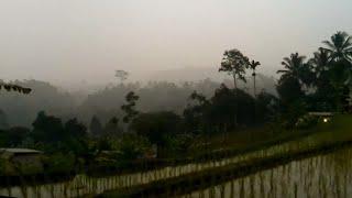 Walking in the village during Heavy rain in August