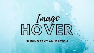 Image Hover with sliding Text Animation