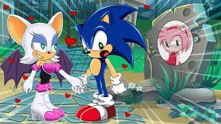 PLEASE COME BACK FAMILY..  Amy Only Love Sonic? - Very Sad Story But Happy Ending | POOR SONIC LIFE