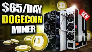 This DOGE Crypto Miner Makes $2000 a MONTH!