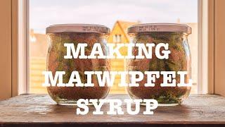 making maiwipfel syrup (part 2)