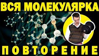 Повторение всей молекулярной физики ЕГЭ