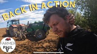 PUMPKINS ARE TAKING OVER THE FARM !! | STONE PICKER BACK IN ACTION