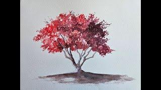 HOW TO PAINT A MAPLE TREE Watercolor tutorial for beginners.